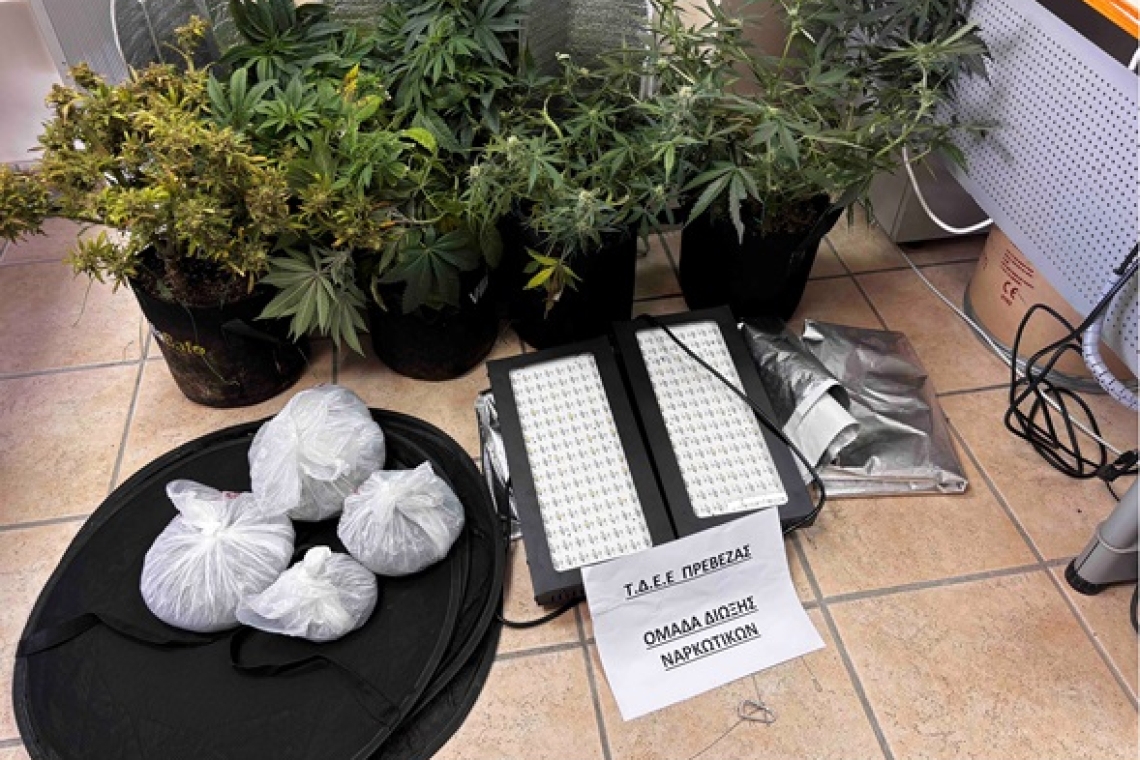 Συνελήφθη ημεδαπός για καλλιέργεια και κατοχή ναρκωτικών σε περιοχή της Πρέβεζας